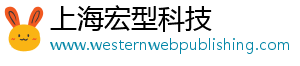 上海宏型科技