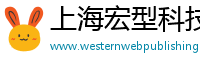 上海宏型科技