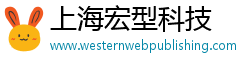 上海宏型科技